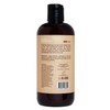 PA Coconut and Honey Polishing Shampoo 16 oz