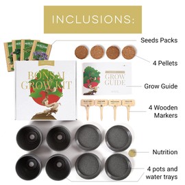 Bonsai Tree Kit – Plant 4 Species of Bonsai Tree w/ Our All-in-One Plant Kit: Bonsai Pots & Peat Pellets Including a Bonus in-Depth Grow Guide by Home Grown | Great Gardening Gifts for Women and Men