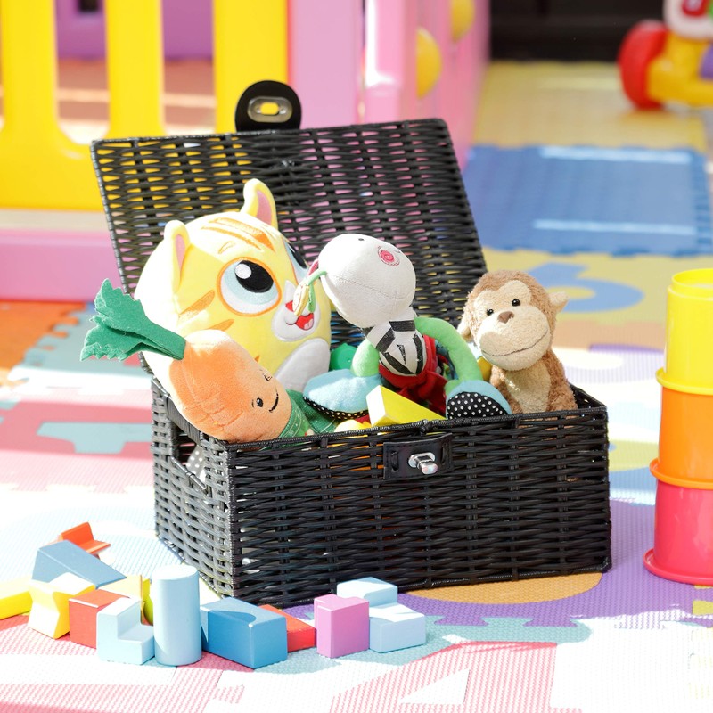 Arpan Small Resin Woven Storage Basket Box with Lid &