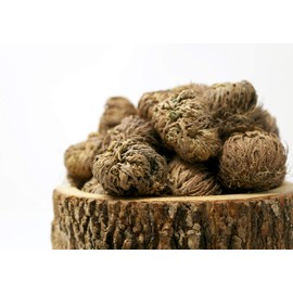 Saint Terra - Rose of Jericho Flower The Resurrection Plant, Box of 10