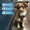 Voyager Step-in Air Dog Harness - All Weather Mesh, Reflective,