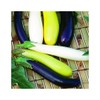 Park Seed Gourmet Fingerling Blend Eggplant Seeds, 25 Seeds per