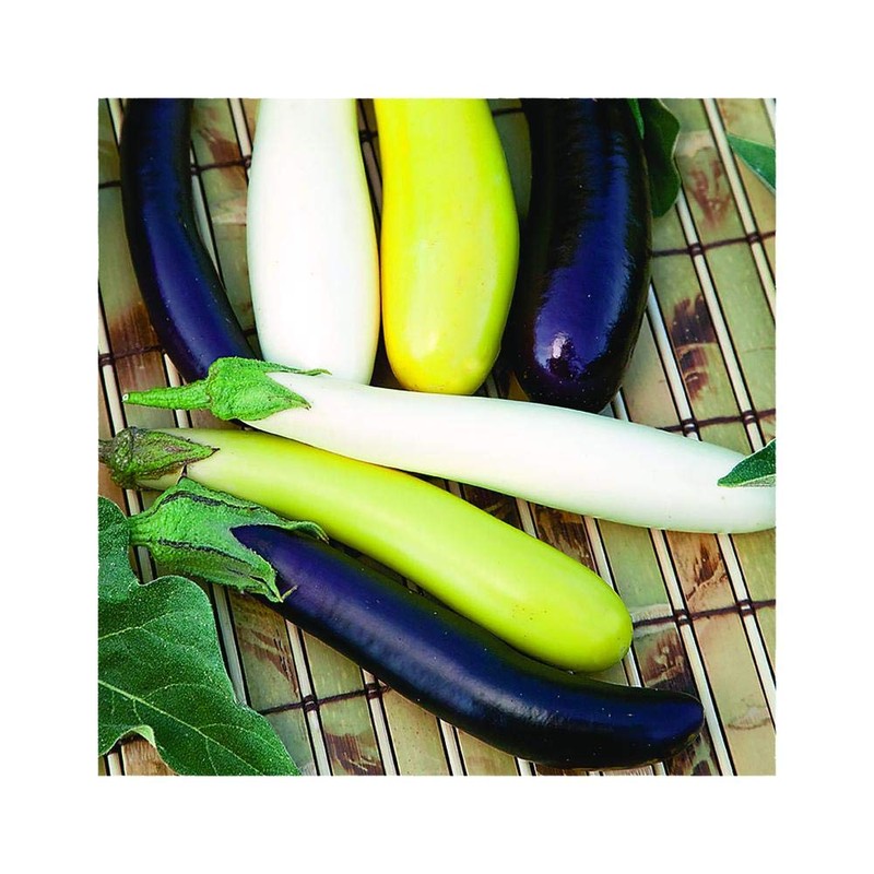 Park Seed Gourmet Fingerling Blend Eggplant Seeds, 25 Seeds per