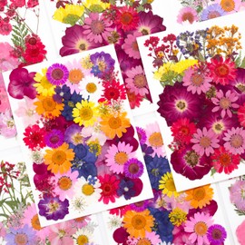 Natural Dried Pressed Flower Kit for DIY Crafts – Assorted Real Flowers & Leaves with Tweezers for Resin Art, Scrapbooking, Jewelry Making, Nail Art, and Home Décor