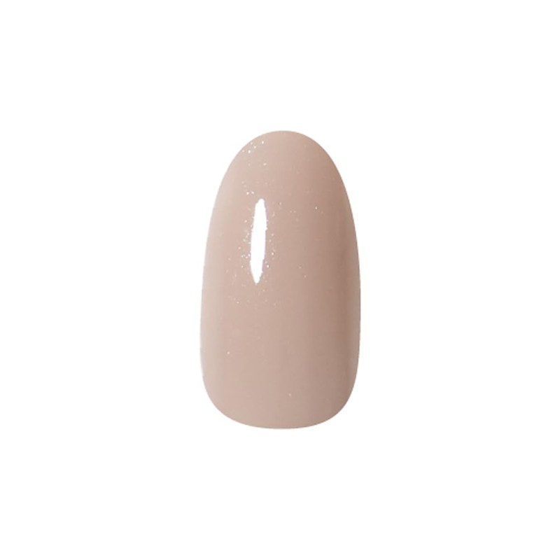 PRE GEL Color EX Mist Brown 0.1 oz (3 g)