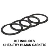 Healthy Human Water Bottle Replacement Gasket O-Rings Seals
