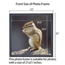 ASXBMIJO 21x21 inch Picture Frame Solid Wood 21x21 Photo Frame 21x21 Poster Frame (A23B2121)