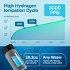 Energilz Hydrogen Water Bottle | Large 16.2 oz (480 ml)