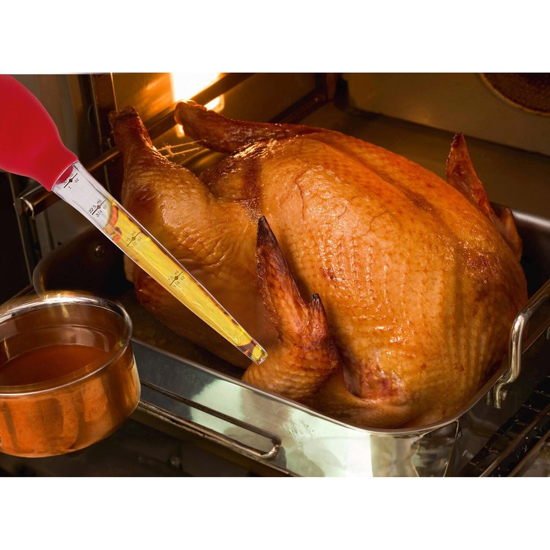 HIC Kitchen Roasting Stand-Up Turkey Baster, Heat Resistant