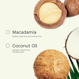 Extracto de raíz de jengibre, aceite para el cabello anti encrespamiento para todo tipo de cabello, sella puntas abiertas y fortalece la estructura del cabello
