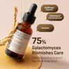 Somebymi Galactomyces Pure Vitamin C Glow Serum 30 ml