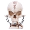 Nemesis Now Horror Skull Ornament, Resin, Natural Bone and Silver