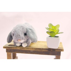 テイクオフ うさぎのマロン ロップイヤー グレー