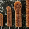 EcoMax Coconut Fibre Bottle Brush, Large