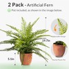 2 Pack Artificial Fern Plants in Pots, Type 8