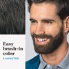 Just For Men Mustache & Beard, Beard Dye for Men