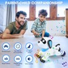Remote Control Robot Dog Toy, RC Stunt Dog Robot Toy