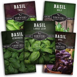 Survival Garden Seeds Basil Collection Seed Vault - Holy Basil, Genovese Basil, Large Leaf Basil, Opal Basil, and Thai Basil - Non-GMO Heirloom Seeds for Planting Delicious Herbs - Basil Mix Seeds