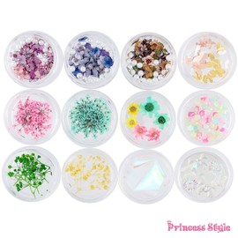Princess-style Trend Nail & Resin Parts Aurora Film Butterfly Dried Flower Parts Set