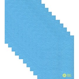 Trendy Tripper Earth-Friendly Reusable COMPOSTABLE ECO Sponge Cloth | AKA Swedish Dishcloths | Reusable Dishcloth Made in Germany (10-Pack, 10-Pk Blue)