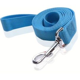Nylon Dog Leash 8 Feet Long, Walking Training Dog Leashes for Medium Large Dogs(1" X 8 ft, Blue)
