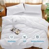 Shilucheng Queen Size Comforter Set 3-Piece, Soft Polyester Bedding with