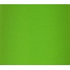 Albert Estate LTD, Lime Green Lamp Shade , 10" Washer