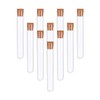 Plastic Test Tubes,10Pcs Plastic Test Tubes With Lids,Clear Plastic Test