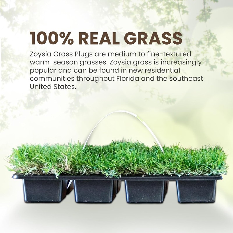 SodPods® Zoysia Grass Plugs for Lawn Repair, 3" x 3"