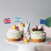 Tabanzhe Different Nations Toothpick Flag-100PCS Country Cocktail Stick Flag Food