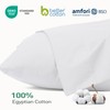 Sylvanora Pillow Cases 2 Pack, Soft & Premium 100% Egyptian