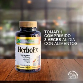 Vida Herbal Herbofx Colágeno Hidrolizado Suplemento 100com Sabor