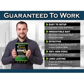 MaxGuard Roach + Spider Traps (12 Per Box) Non-Toxic Extra Sticky Box Traps | Kill German Cockroach, American and Oriental Plus Crawling Bugs & Insects House