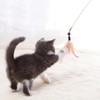2pcs Feather Teaser Cat Toy, Cat Feather Toys,Interactive Cat Catcher