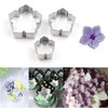 Easiest 3D DIY Morning Glory Petal Gum Paste Fower Cutter