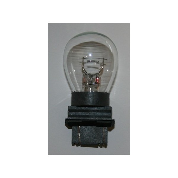 3155 Bulb - Pack of 50