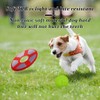 hssopa 2PCS, Glow in The Dark Toys,DogFlying Disc, Dog Ball,Interactive