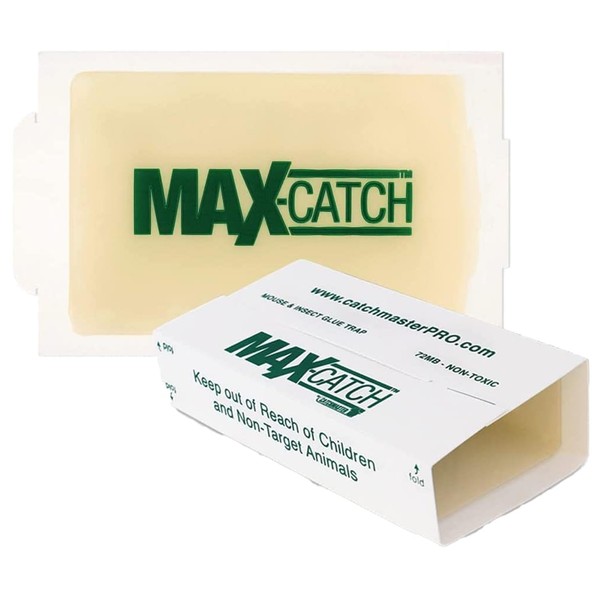 Catchmaster Max-Catch Mouse & Insect Glue Trap 72PK, Mouse Traps Indoor for Home, Sticky Pest Control Adhesive Tray for Catching Bugs, Rats & Rodents, Non Toxic Bulk Unscented Glue Boards