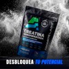 Creatina Monohidratada Micronizada 450g 90 Porciones Sin Sabor Amarte Labs