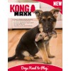 KONG Maxx Ballistic - Juguete para perros de 2 capas