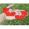 Badge Addictz Red Eye 5.0 Coyote Emblems Badges Matte/Black Light