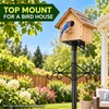 89 Inch Bird Feeder Pole with Squirrel Baffle, Multi-Hook Hanger,