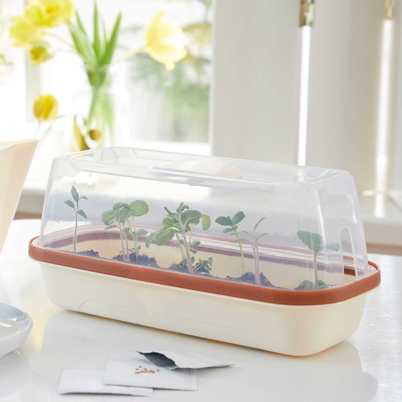 Romberg Style BoQube Greenhouse Various Sizes
