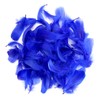 Lamar Feather 300pcs Blue Feathers 2-3 Inches Bulk Feathers for