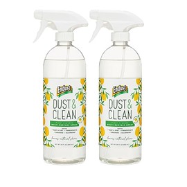 Endust Plant-based Multi-surface Dusting & Cleaning Spray, 24 Fl Oz (Pack of 2)