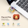 leizhan 64GB USB Flash Drive USB Memory Stick USB Pen