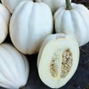 Park Seeds Winter Squash Mashed Potatos, Pack of 20 Seeds