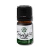 Essence Eucalyptus Essential Oil – 100% Pure & Therapeutic Grade