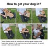 Woolala Light Weight Pet Carrier Backpack for Small and Medium