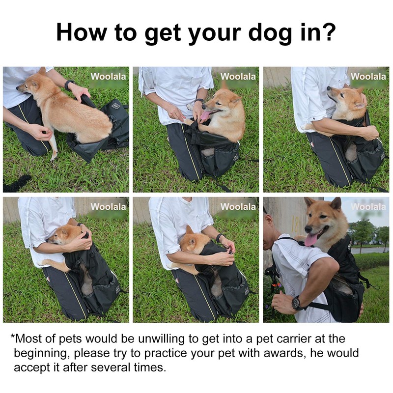 Woolala Light Weight Pet Carrier Backpack for Small and Medium